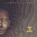 The Wolf Inside Me pt.III