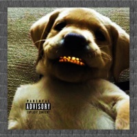 Cachorro de Mendigo - Single - Shady Rottweiler, NegoZero, Big Bandidão, Peralta, Leandro Rima & Gross