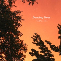 Dancing Trees - Single - felio & TABAL