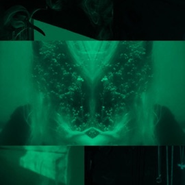 Into the Vagueness (feat. Grisfx) Sanctum