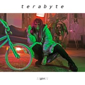 Terabyte - Pleasure Center