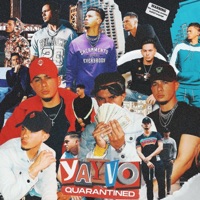 Quarantined - Yayvo