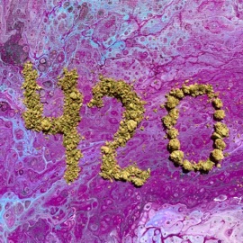 Weed and Mac and Cheese (feat. Surfboard C, Owl Green & Will Mendocino) Netherfriends