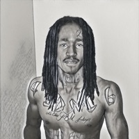 Not Never - Single - Lil Knoc