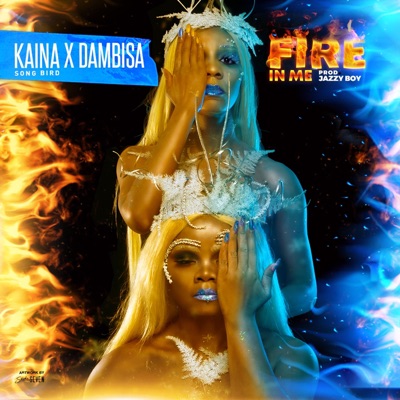 Fire in Me (feat. Dambisa) - Single
