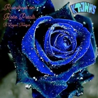 Raindrops on Rose Petals - Single - KTowns