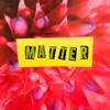 Matter - Single