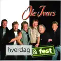 En Håndverker Tel Besvær
