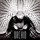 Orchid artwork