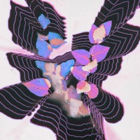 Wind (feat. Goffie) - Single - Daycatcher