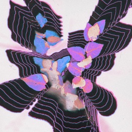 Wind (feat. Goffie) Daycatcher