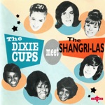 The Shangri-Las - Leader of the Pack (Mono)