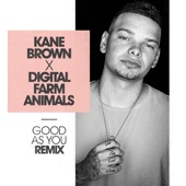 Good as You (Digital Farm Animals Remix) artwork