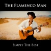 Simply the Best - Single