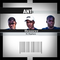 Hennesy (feat. Maphara) - Single - Ants