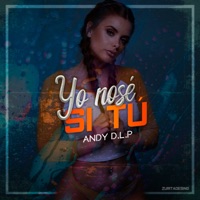 Yo No Se Si Tú - Single - Andy DLP
