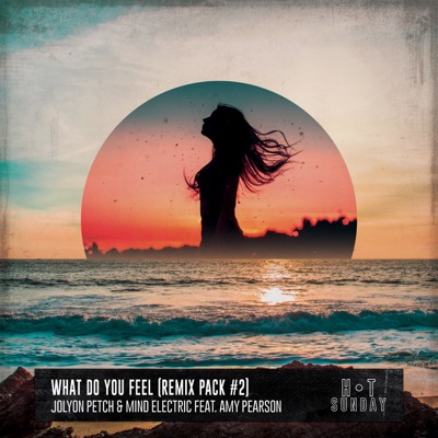 What Do You Feel (feat. Amy Pearson) [Remix Pack #2] - Single
