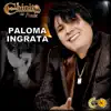 Chinito Del Ande - Paloma Ingrata