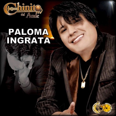 Qalaywita Chinito Del Ande Shazam