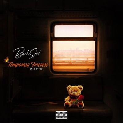 Temporary Forevers - Single
