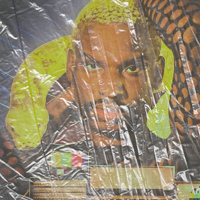 DLF (Chico Remix) - Single
