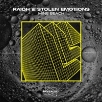 Mine Beach - Single - RAIDH, Stolen Emotions & Revealed Recordings