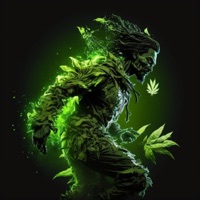 Im Rape Ganja (feat. Feka 23) - Single - SoLLo