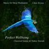 Stream & download Perfect Wellbeing: Classical Guitar & Nature Sounds