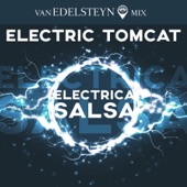 Electrica Salsa (Van Edelsteyn Mix) artwork