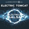 Electrica Salsa (Van Edelsteyn Mix) artwork