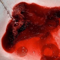 BloodBath (feat. Ren the Third) - Single - Wristcut