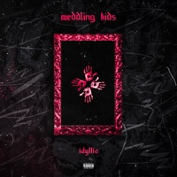 Meddling Kids - Single - Idyllic