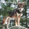 Wolf's Night Lament - Single