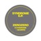 Syndrome - Zerozero lyrics