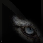 Visions - Single