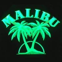 Malibu (Remix) - Single - Robert