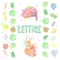 Lettuce - Detroit Panic lyrics