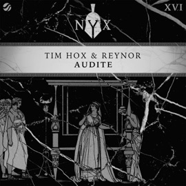 Audite Tim Hox & Reynor