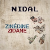 Zinédine zidane artwork