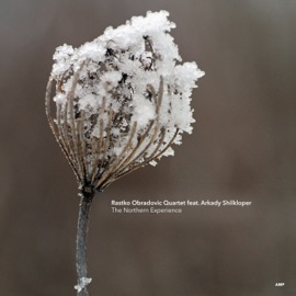 Colors (feat. Arkady Shilkloper) Rastko Obradovic Quartet