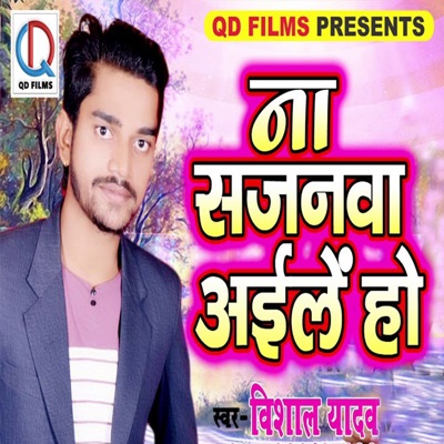 Na Sajanwa Aaile Ho - Single