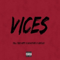 Vices (feat. Dichotomy & Cam'leo) - Single - Tall Tree Hippy