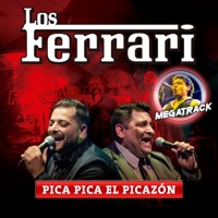 Pica Pica el Picazon - Single - Los Ferrari & Megatrack