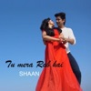Tu Mera Rab Hai - Single