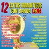 12 Éxitos Románticos con Banda, Vol. 3