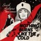 Nothing Burns Like the Cold (feat. Vince Staples) - Snoh Aalegra lyrics