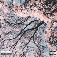 Mad Summer - Single - Blvff