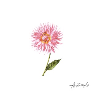 Palm Beach / Eros - Single