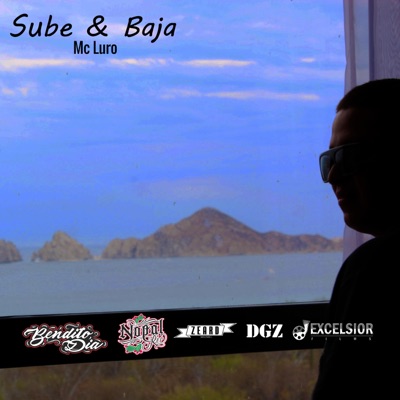 Sube & Baja - Single