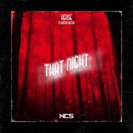 That Night (feat. Austin Salter) Heuse